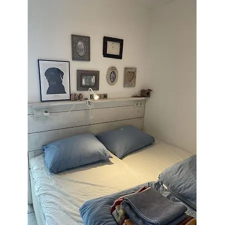 Duinoever Comfortable Holiday Holiday home